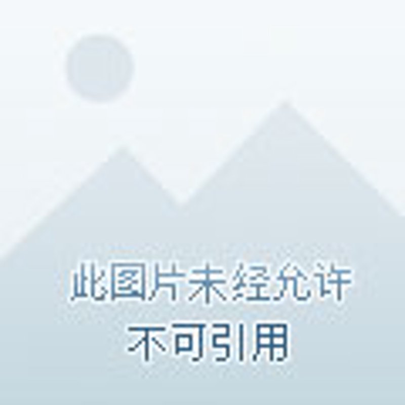 天津运输行业的最新趋势